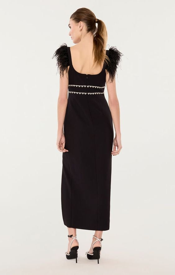Feathered Elegance Embellished Black Gown