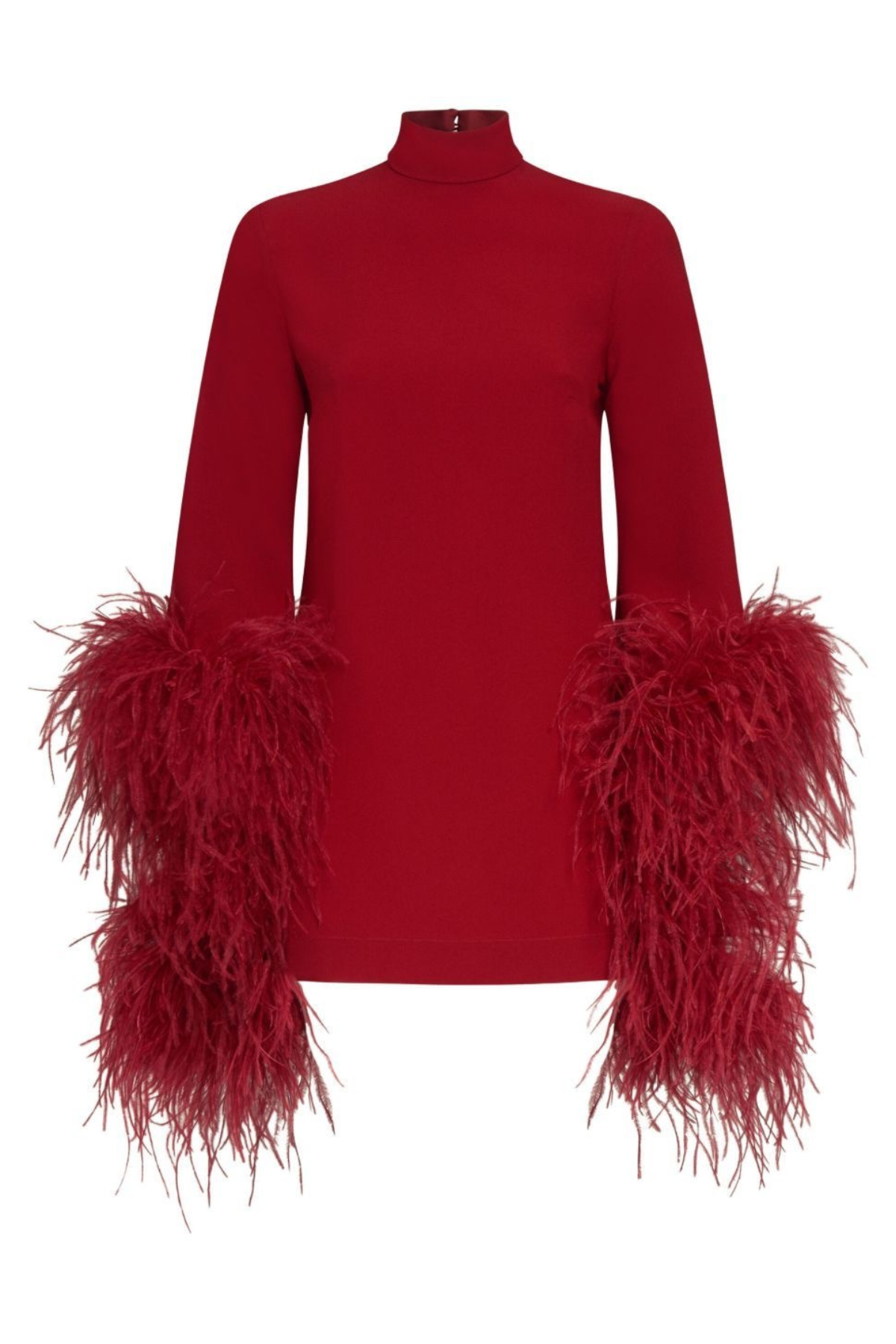 Ruby Luxe Feather Trim Mini Dress