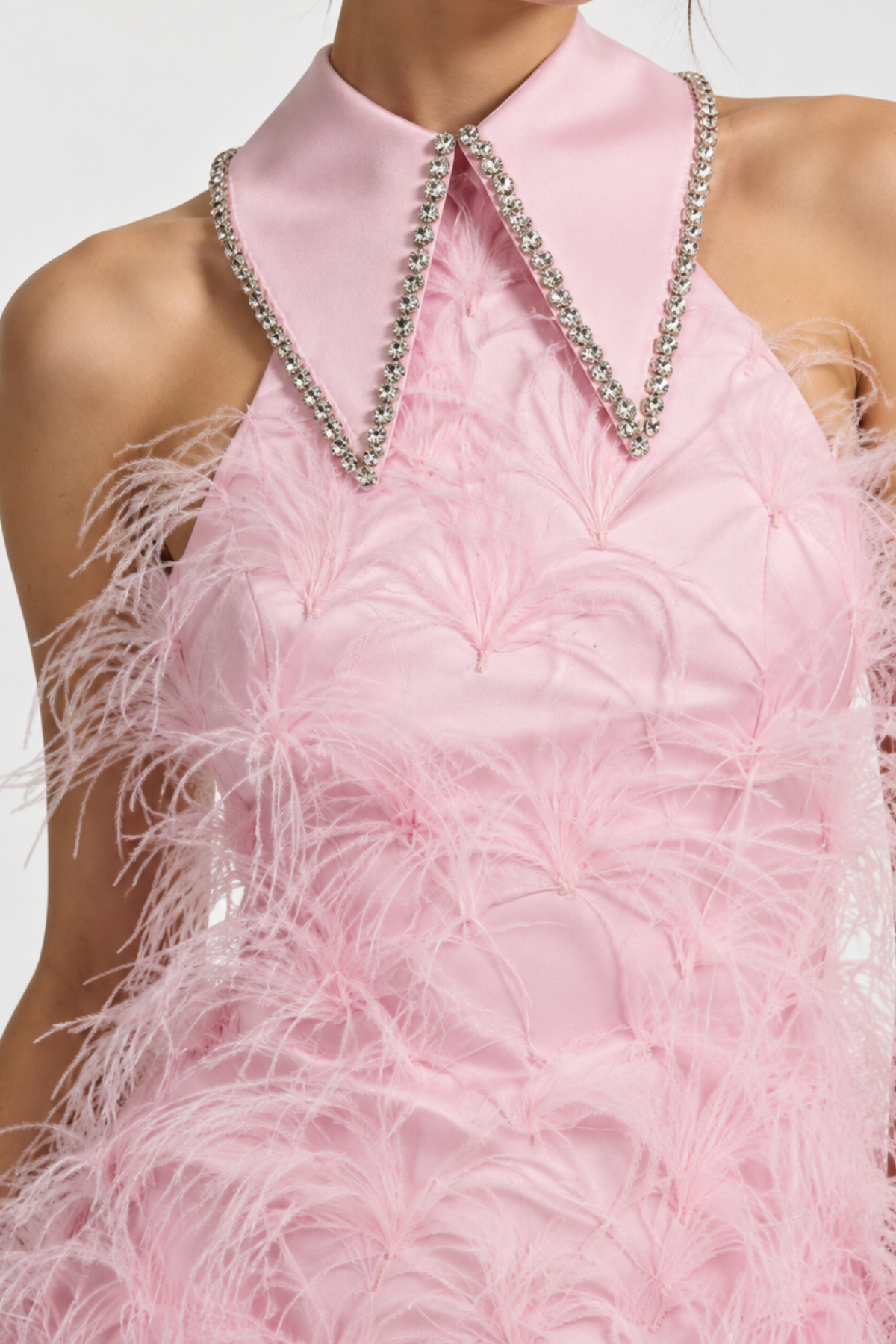 Swan Muse Embellish Feather Dress