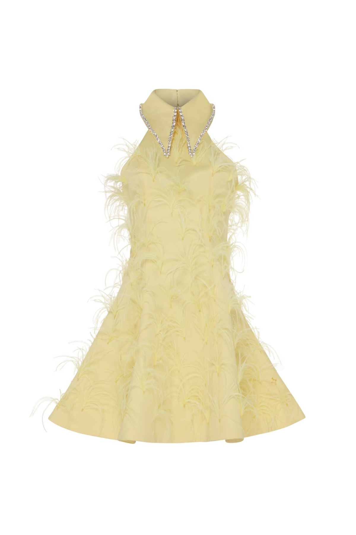 Swan Muse Embellish Feather Dress