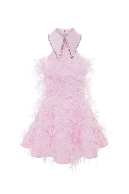 Swan Muse Embellish Feather Dress