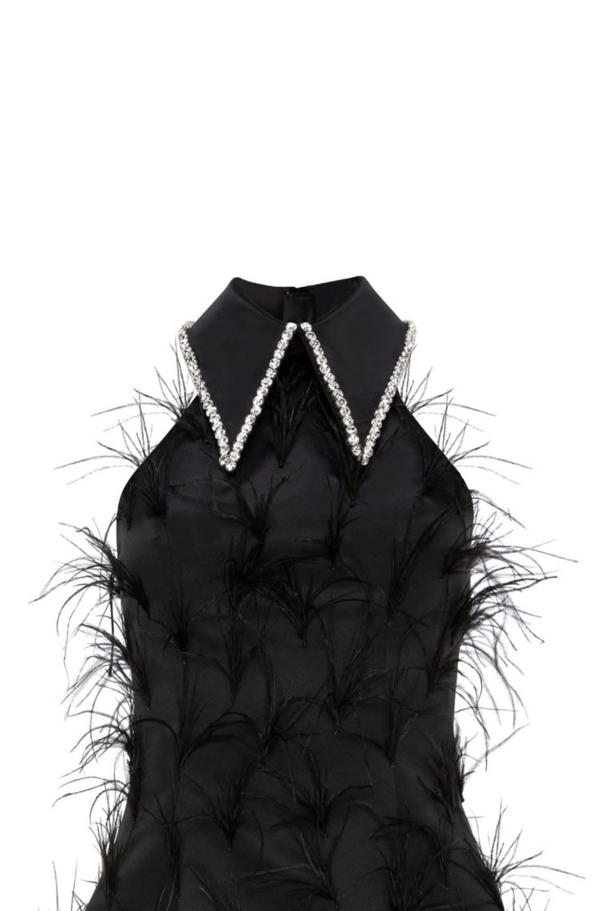 Swan Muse Embellish Feather Dress