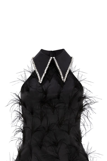 Swan Muse Embellish Feather Dress