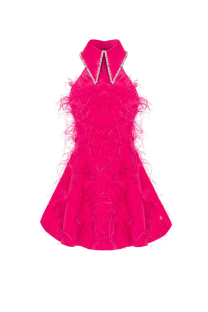 Swan Muse Embellish Feather Dress