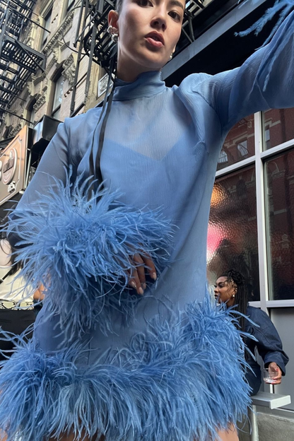Exclusive Feather Trim Dress