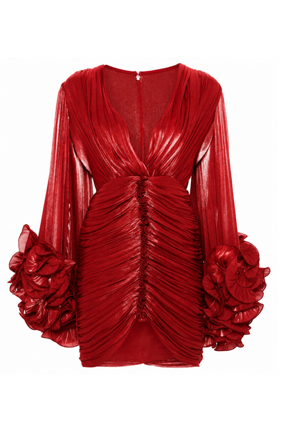 Statement Sleeves Mini Dress