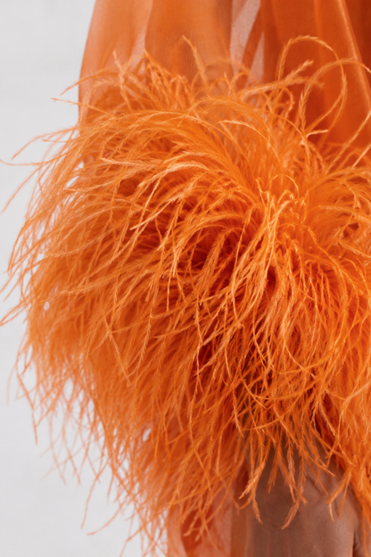 Sunset Feather Gown