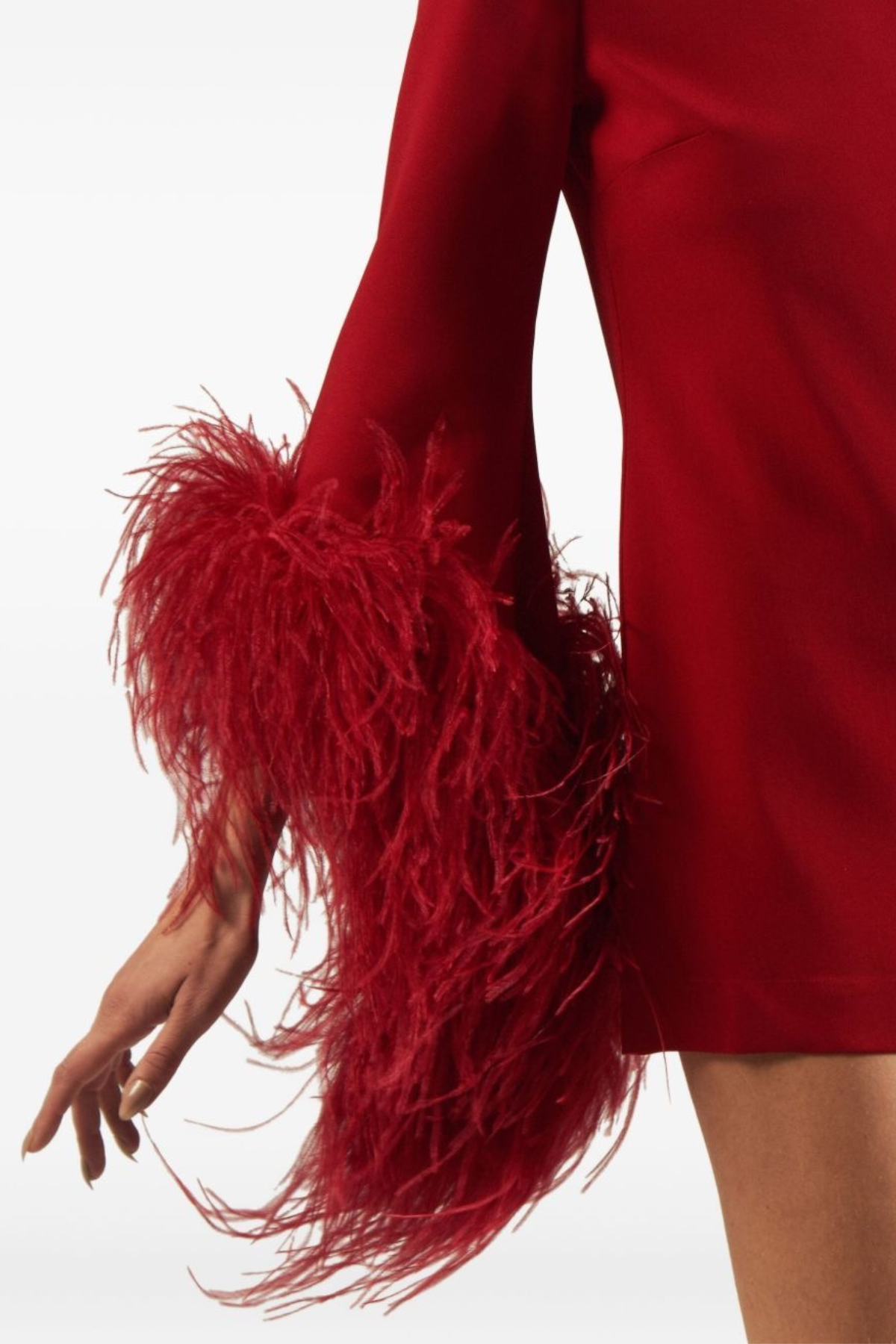 Ruby Luxe Feather Trim Mini Dress